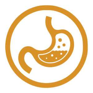 Gut Friendly Prebiotic