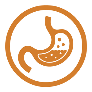 Gut Friendly Prebiotic