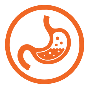 Gut Friendly Prebiotic