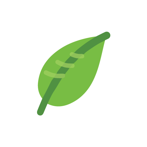 
                                                    Fibre Support
                                                